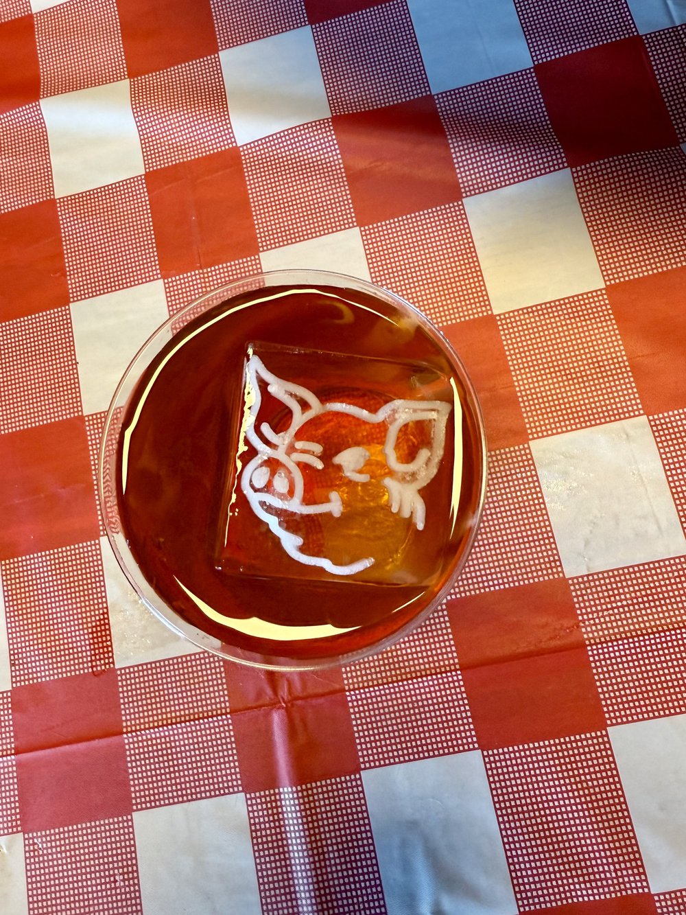 A pint with a pig